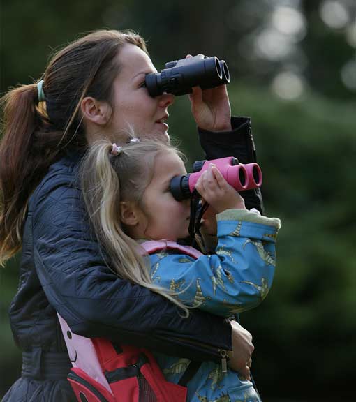 Rspb Binoculars 2024 www.entoleter